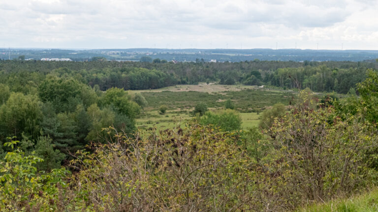 Aussicht vom Kugelfang.